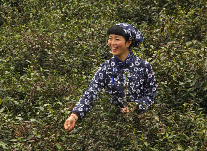 热门推荐6